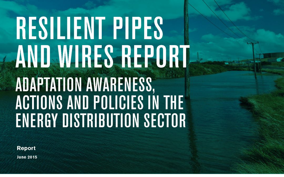 Resilient Pipes and Wires Adaptation Awareness, Actions and Policies in the Energy Distribution Sector