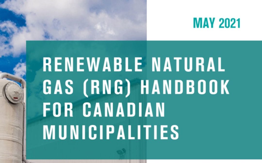 National Renewable Natural Gas (RNG) Handbook