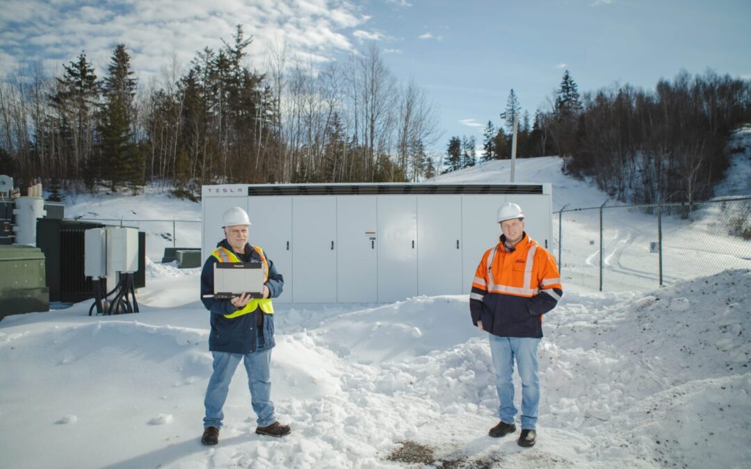 Dodging the Peak: Saint John Energy Employs Smart Grid to Cut Carbon and Incorporate Renewables