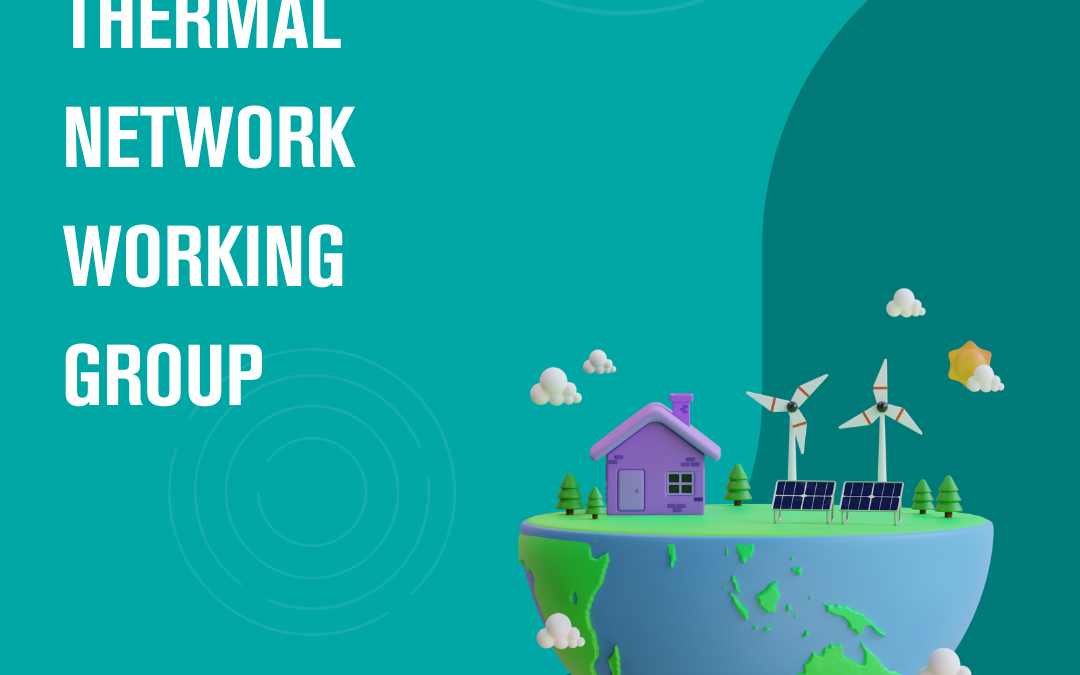 Low Carbon Thermal Network