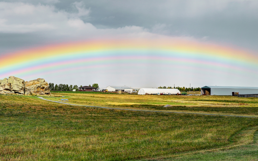 Okotoks, Alberta – To know where you’re going, look to where you’ve been