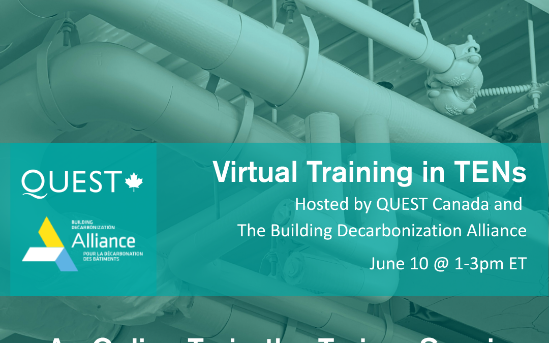 An Online Train-the-Trainer Session in Thermal Energy Networks